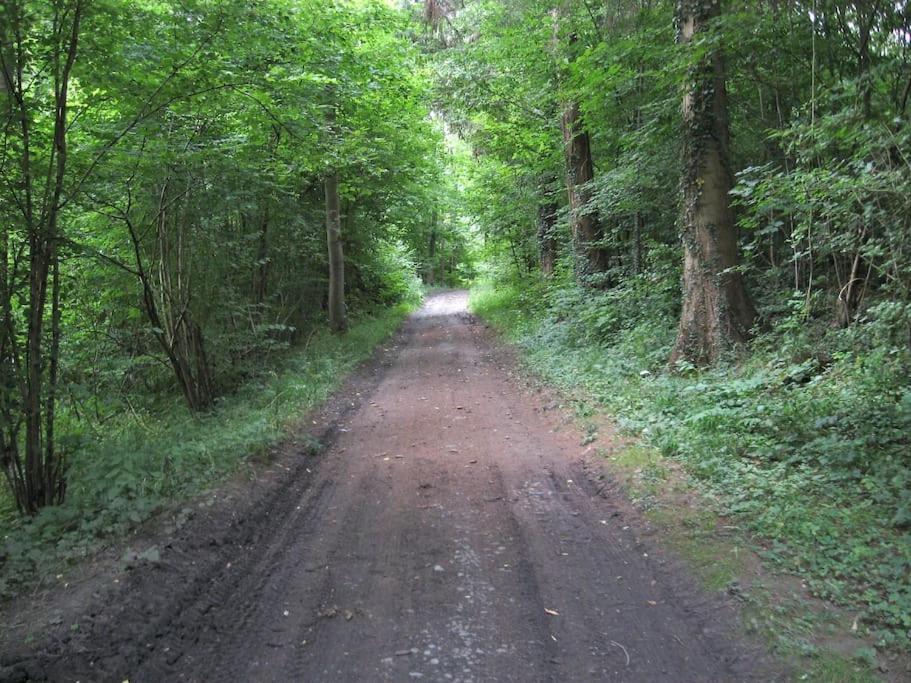 Gite Rural "L'Anseromia" Dinant Buitenkant foto