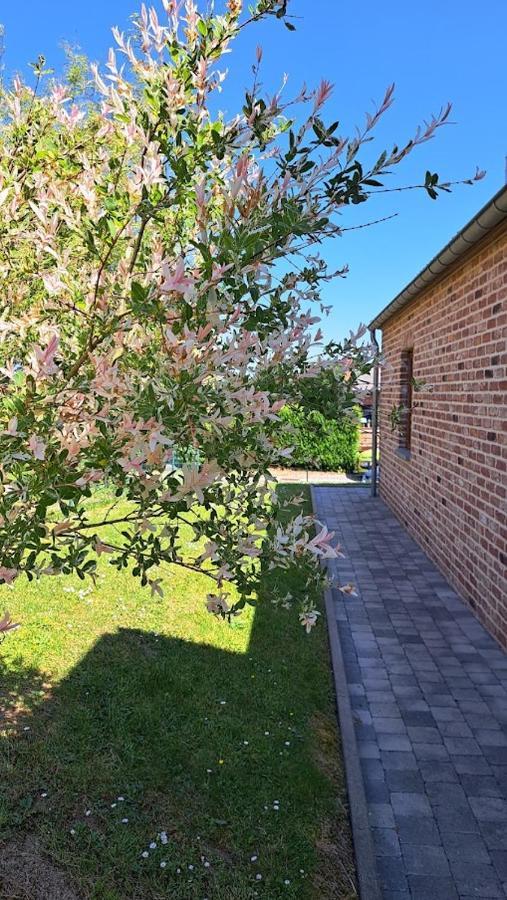 Gite Rural "L'Anseromia" Dinant Buitenkant foto